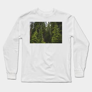 Magical Evergreen Mountain Woods Long Sleeve T-Shirt